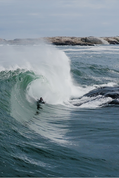 TOOTH OF AFRICA, TRISTAN ROBERTS À TAND