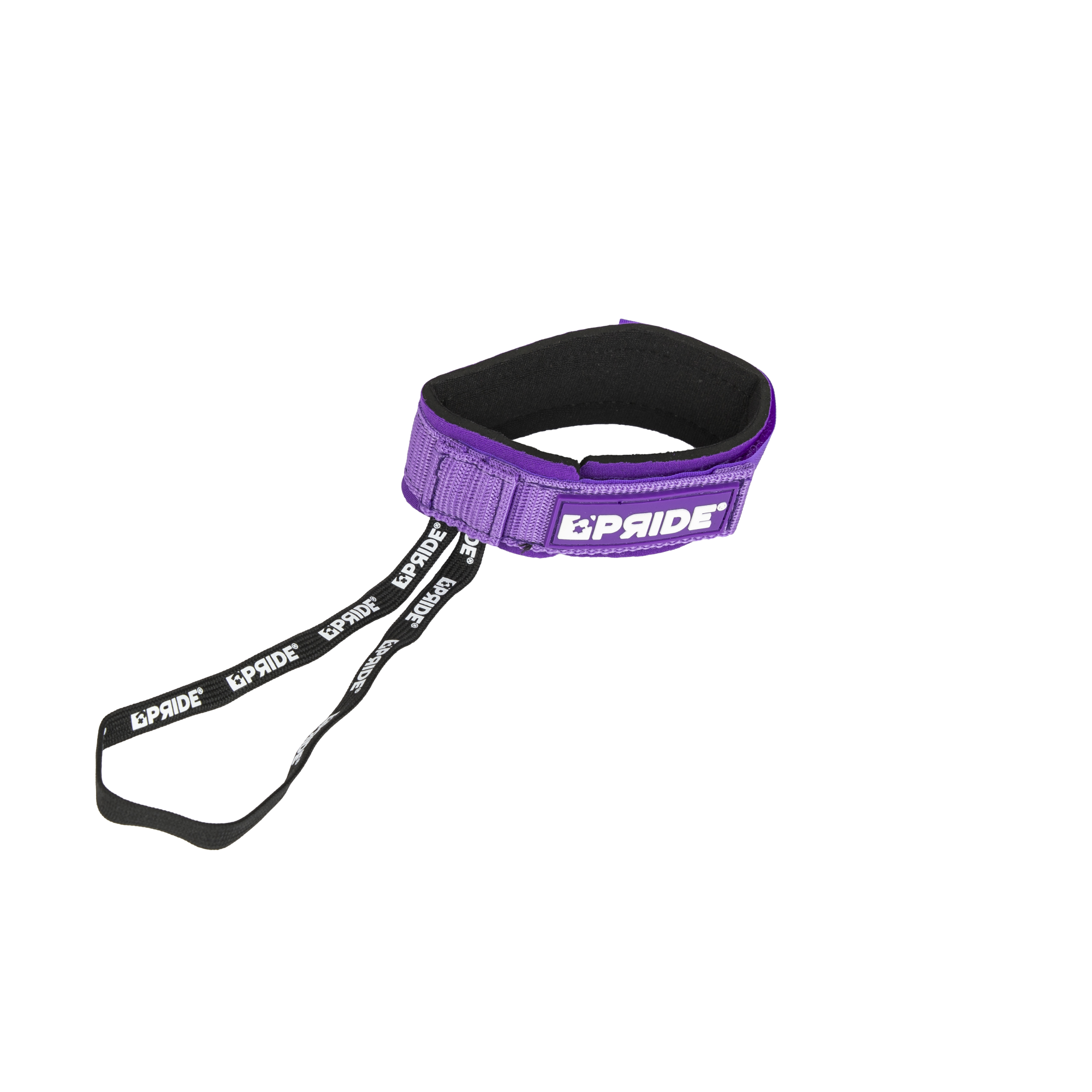 LEASH PALME PRIDE