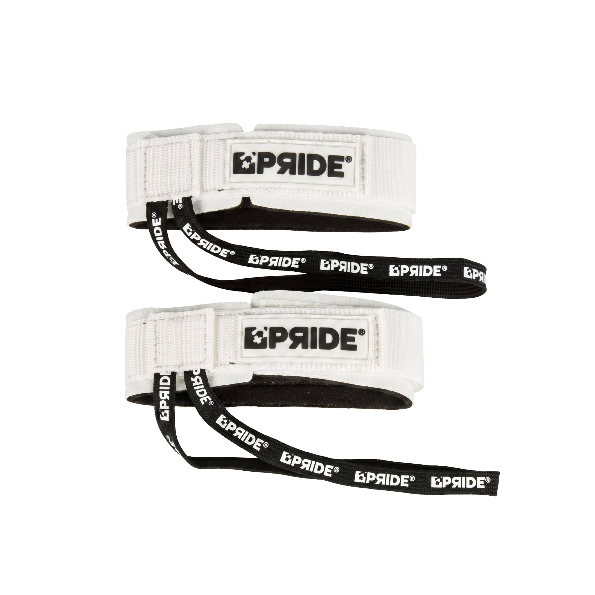 LEASH PALME PRIDE all-groups