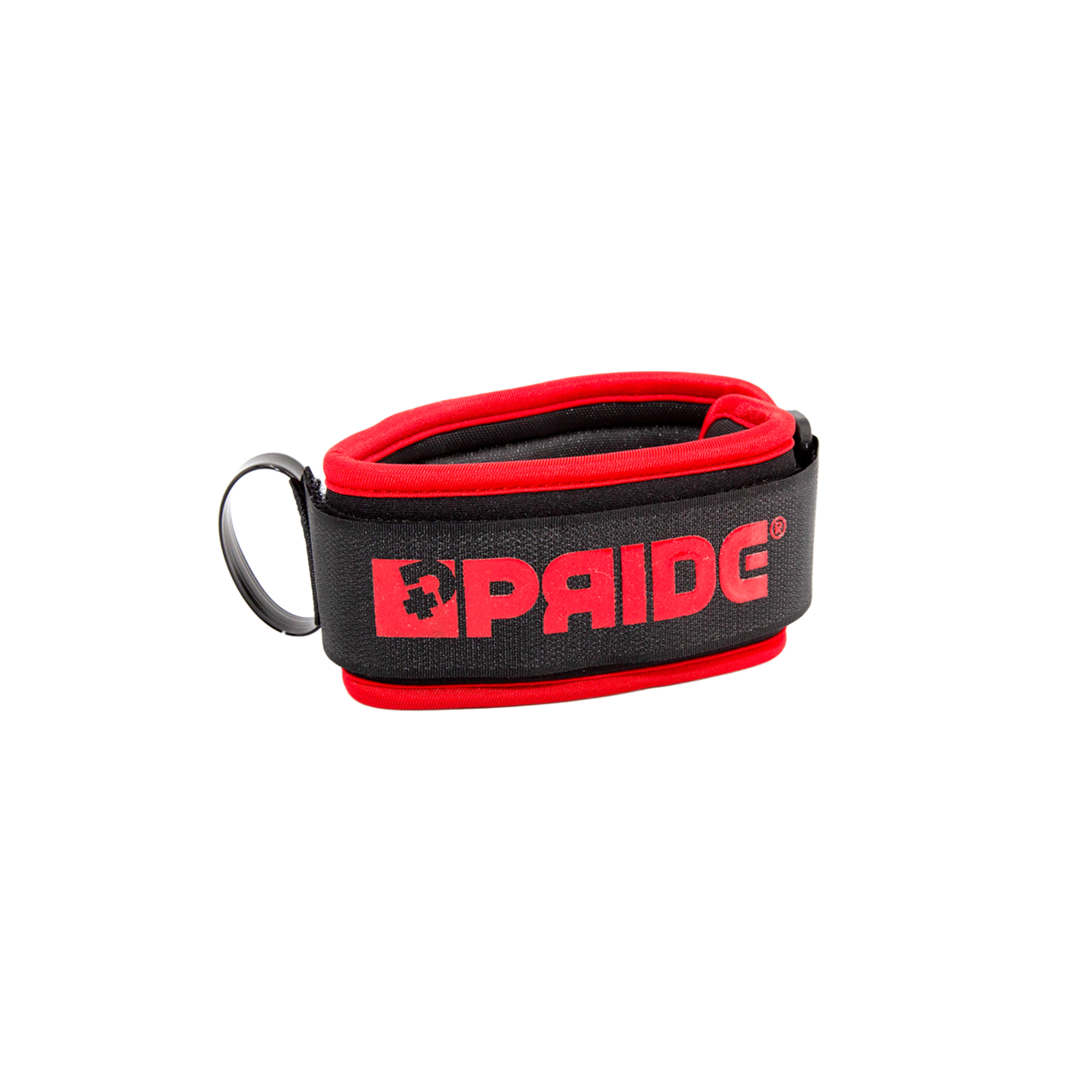 PRIDE BICEPS LEASH TRISTAN ROBERTS