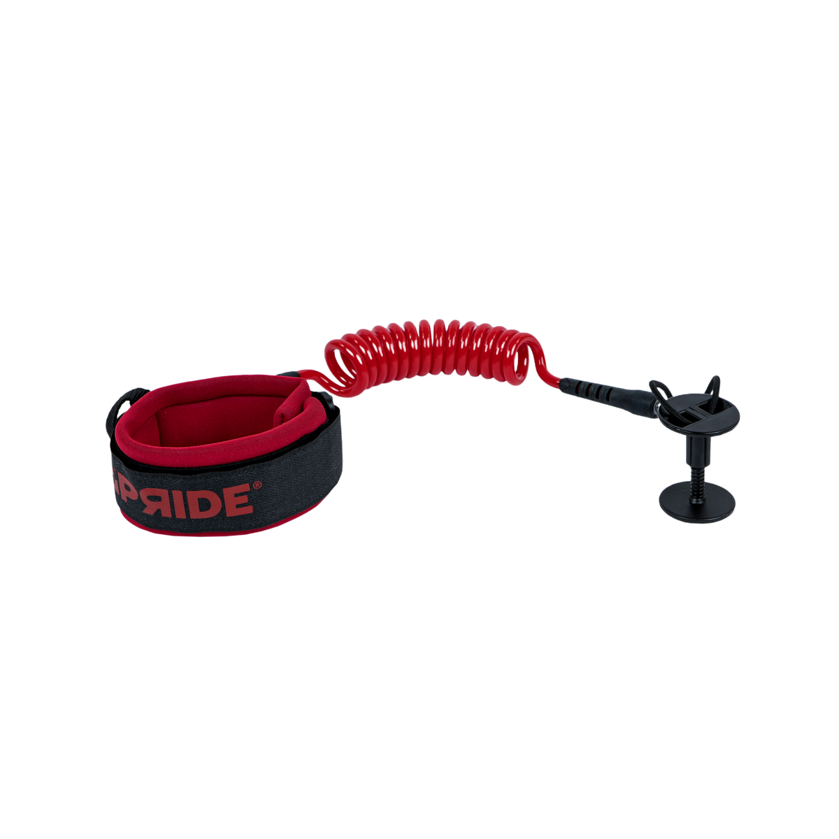 LEASH BICEPS PRIDE