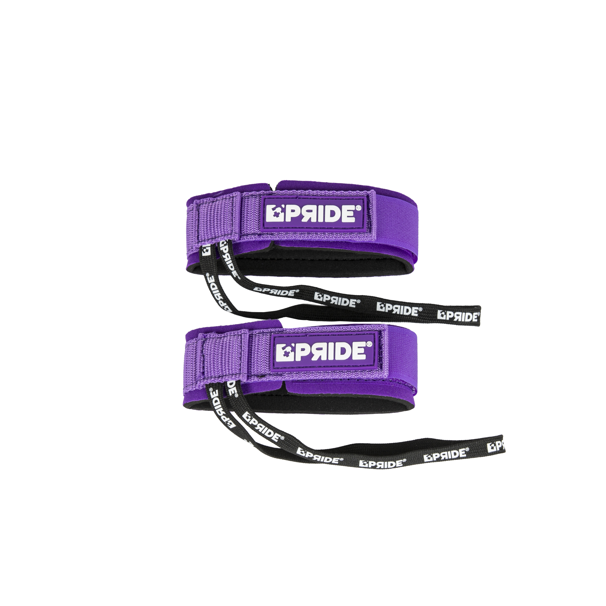 LEASH PALME PRIDE
