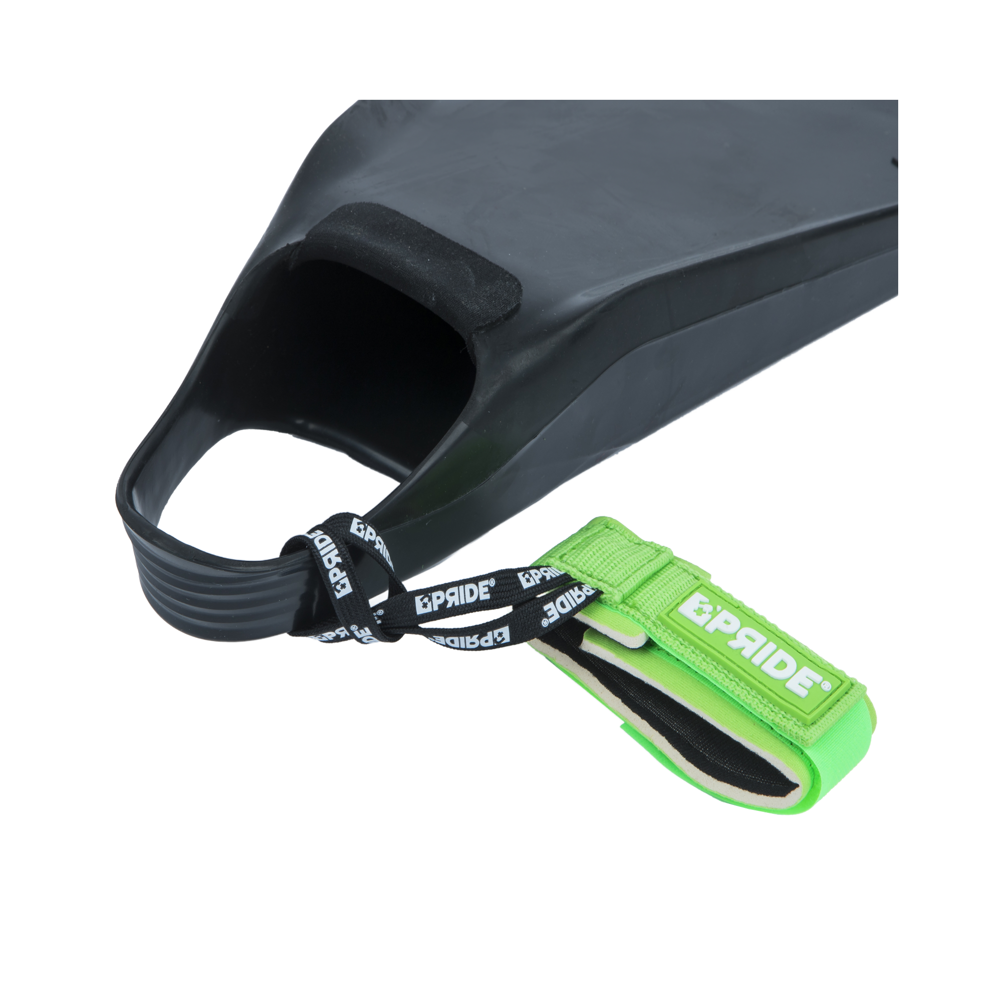 LEASH PALME PRIDE