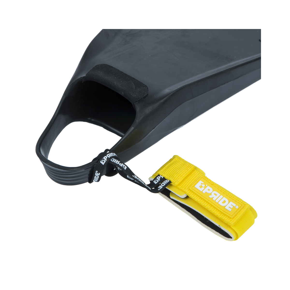 LEASH PALME PRIDE