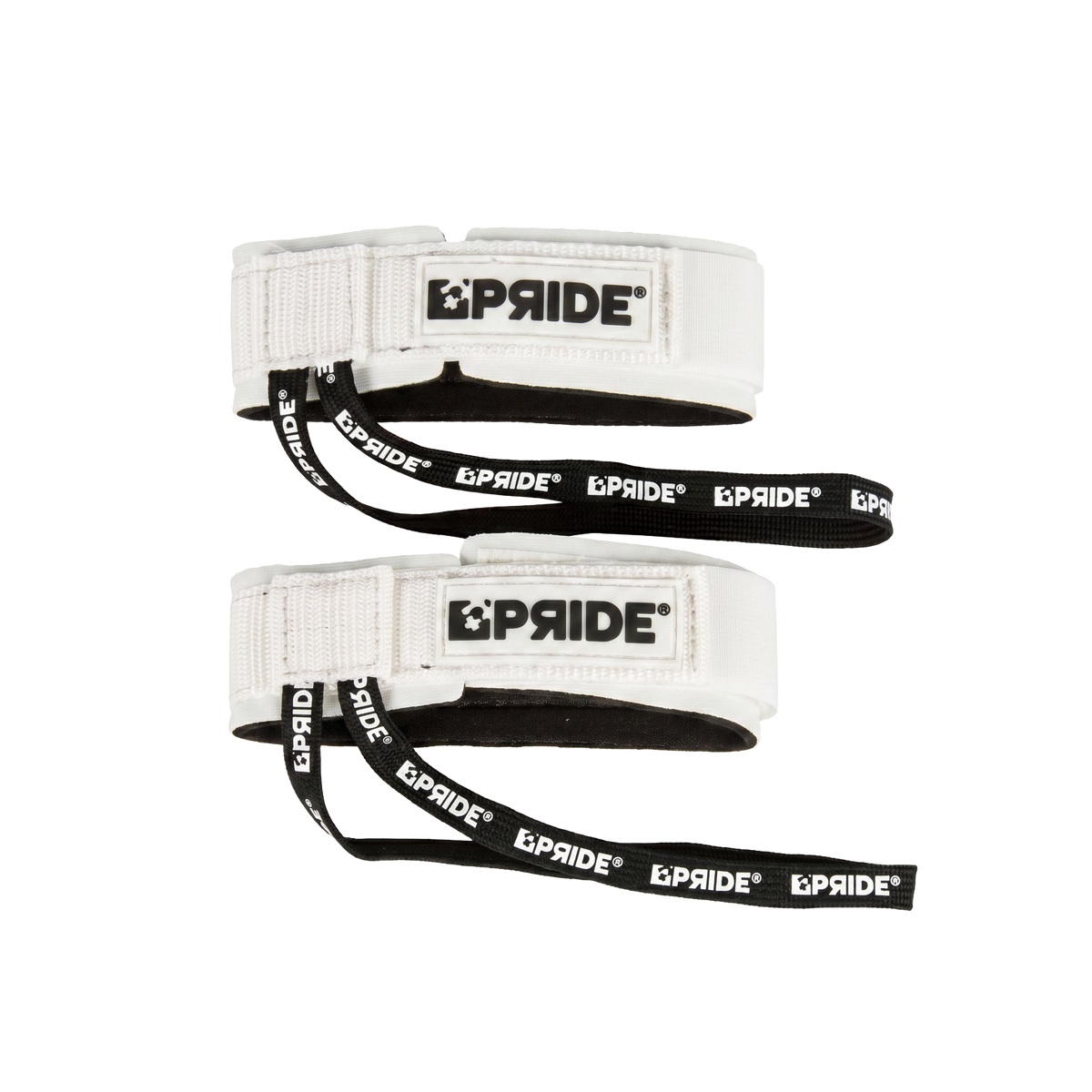 LEASH PALME PRIDE all-groups
