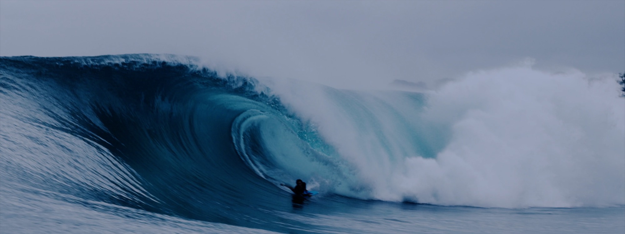pride surfboards